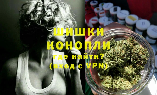 гашик Белокуриха
