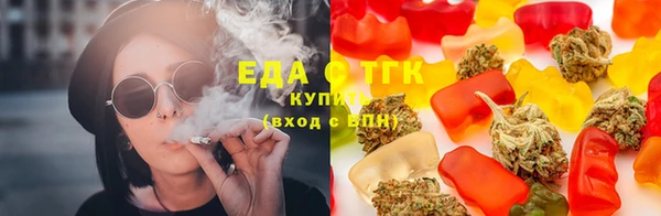 гашик Белокуриха