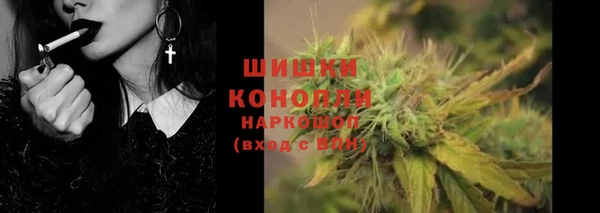 гашик Белокуриха