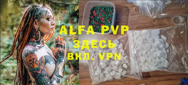 гашик Белокуриха