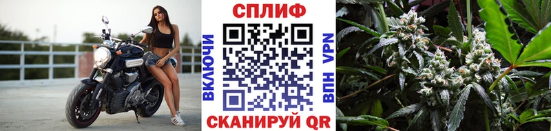 Бошки Шишки тримм  Вуктыл 